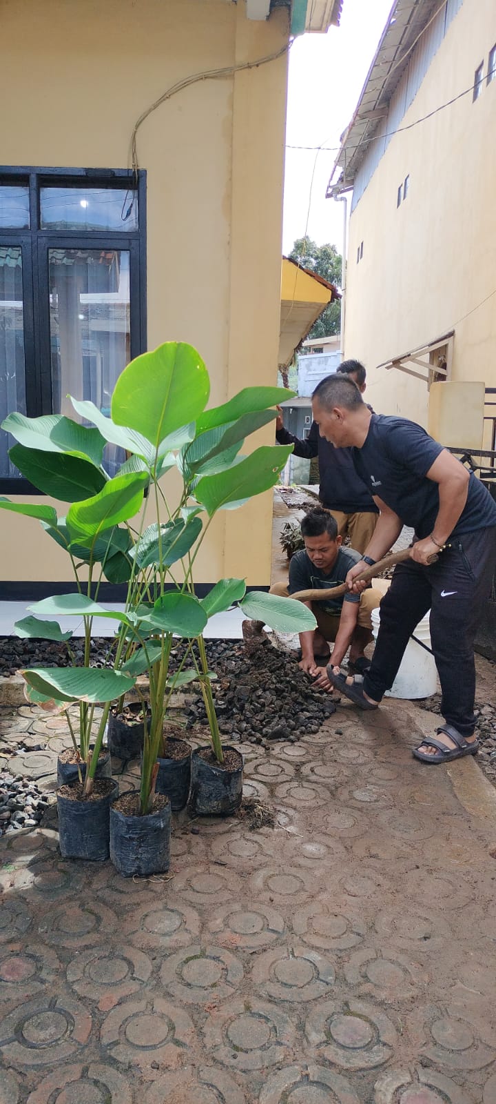 Penanaman Pohon sebagai Antisipasi Pemanasan Global dan Perubahan Iklim 2